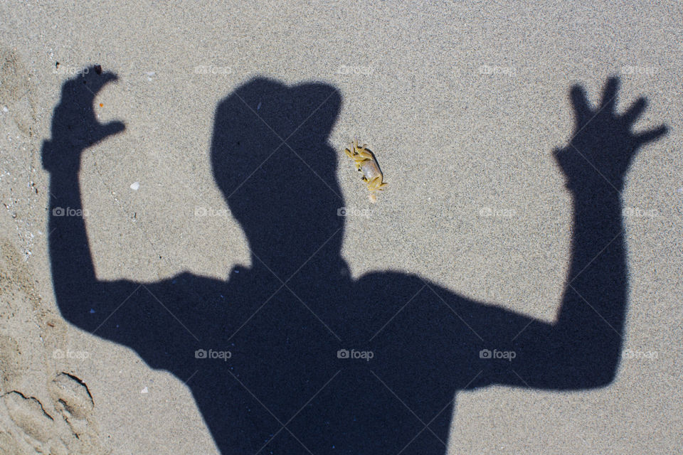 Shadow of a man frightening a yellow crab on a sandy beach