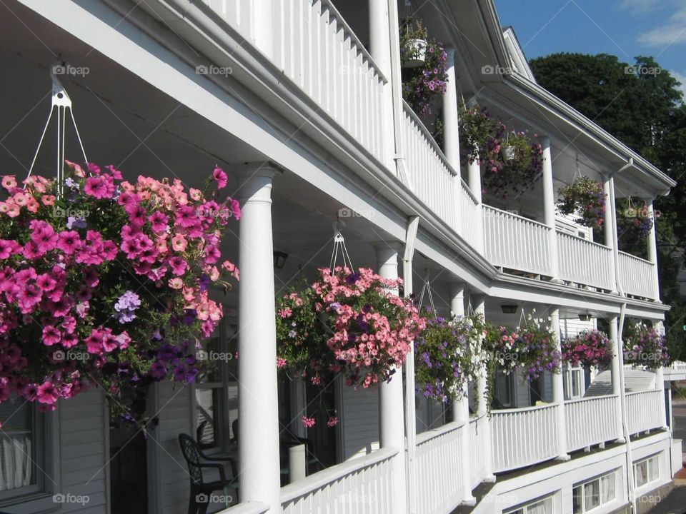 Hotel Terrace