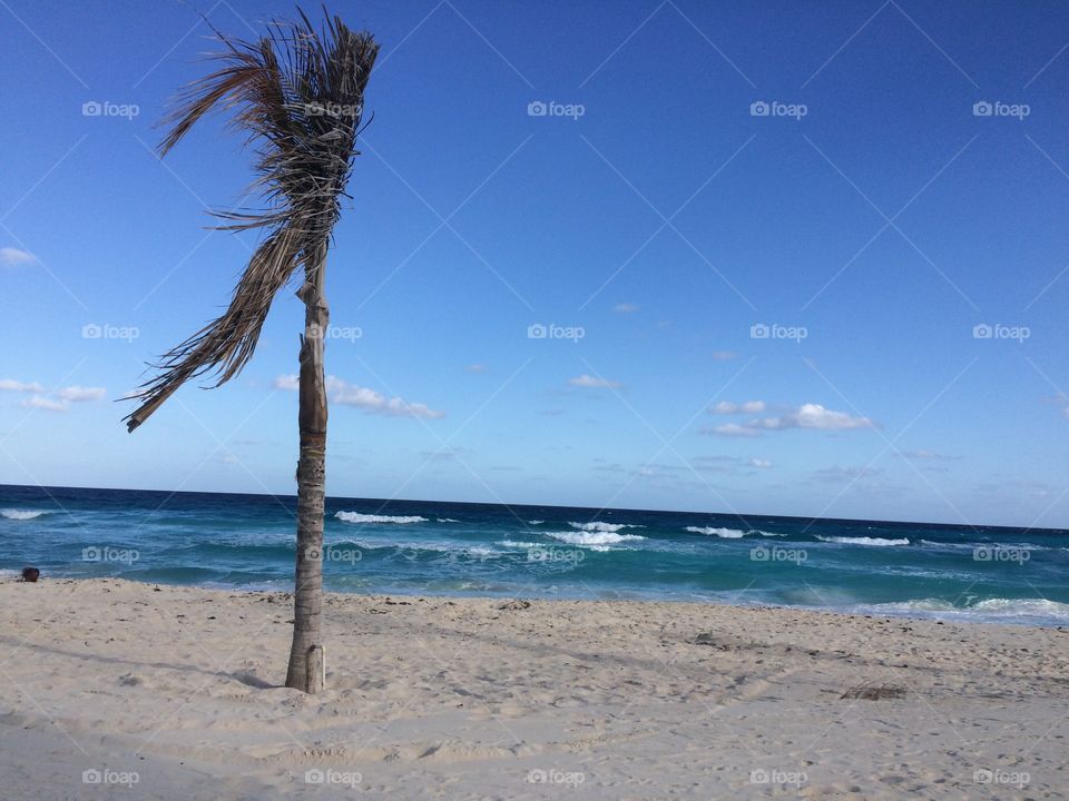 Beach in cancun