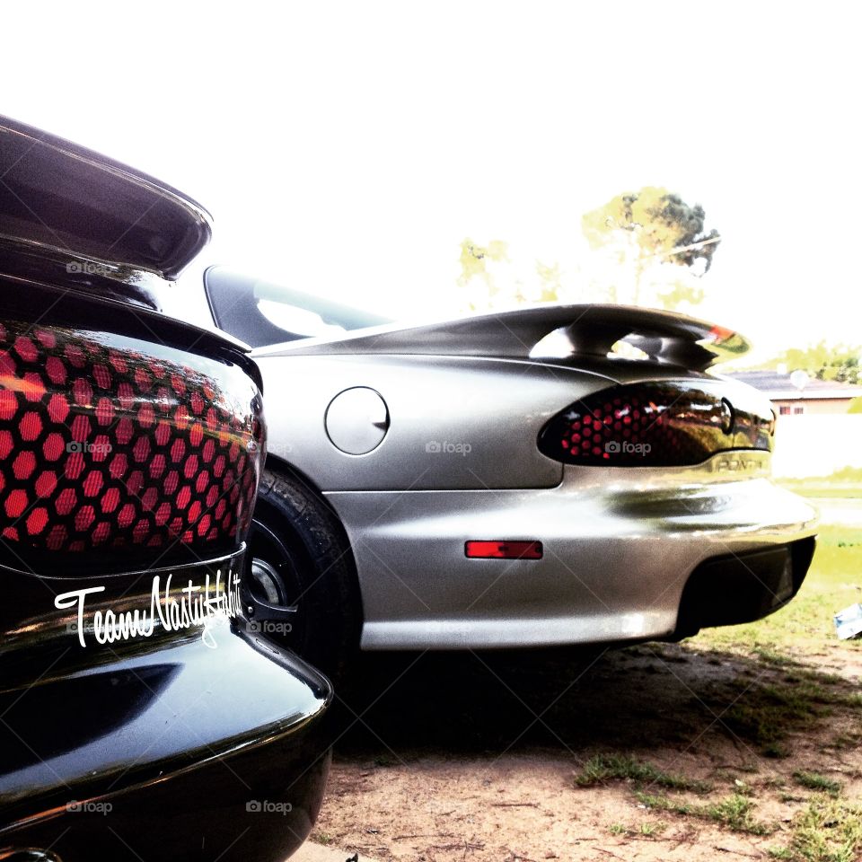 Birds Of Feathers, Flock Together...