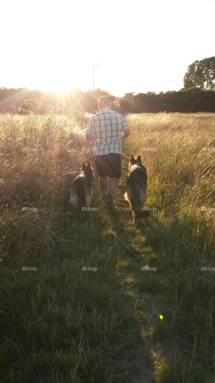 Shepherds walk