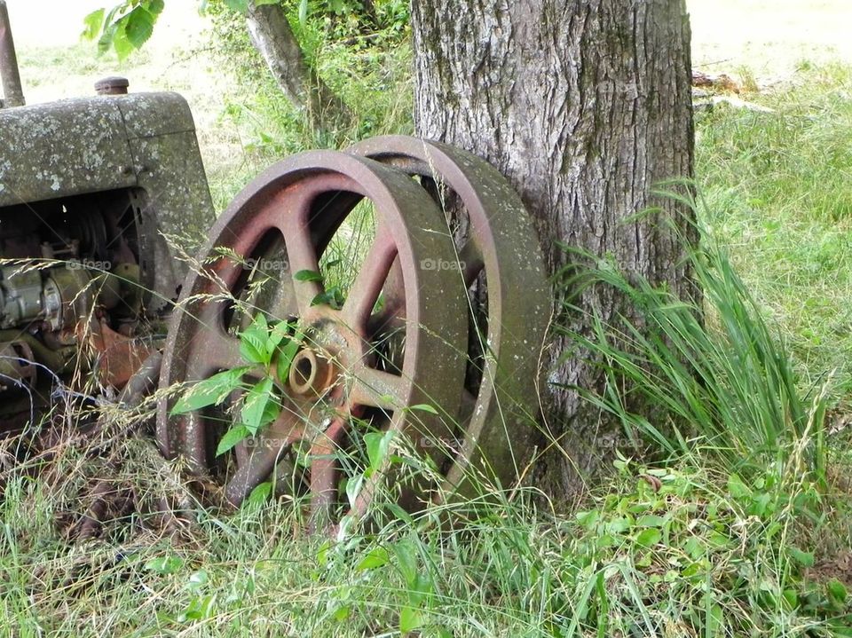 Wagon wheel 