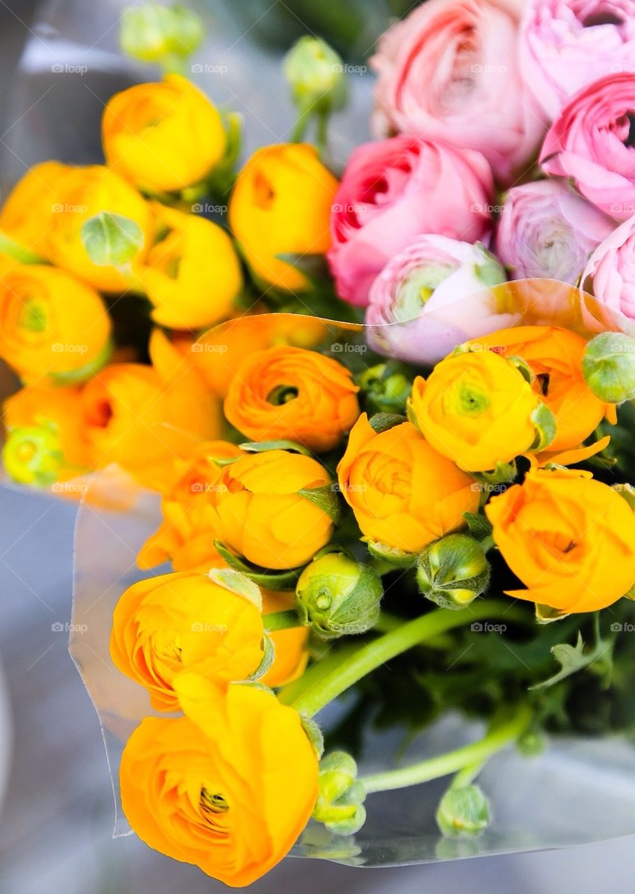 Yellow and pink flowers