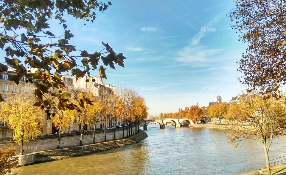 Autumn view of the Seine river in Paris