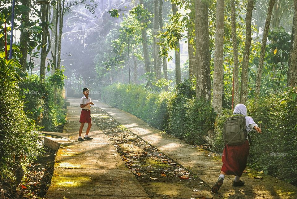 people nature landscape scholl