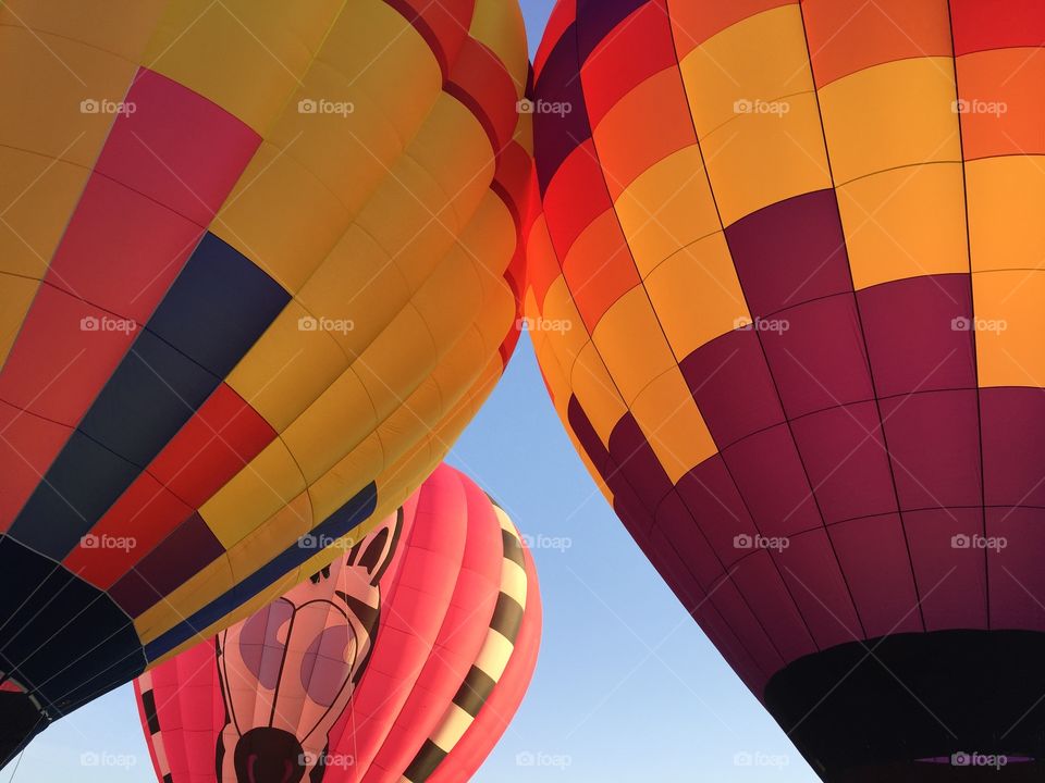 4Ever39, Sunny Side Up, Cazooie Hot air balloon teams taking off