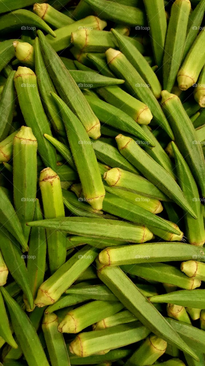 Okra