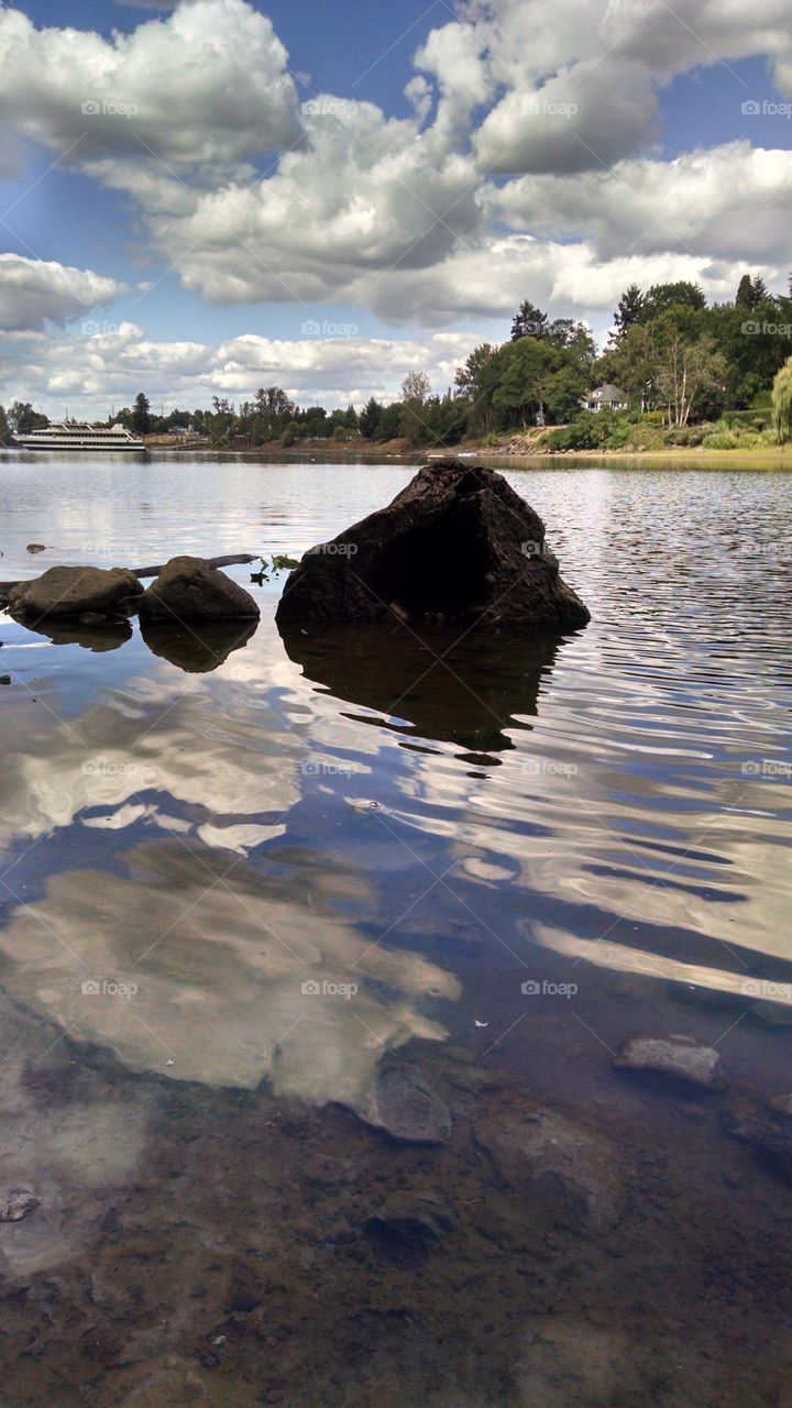 Reflections. A walk on Elk Island in Milwaukie, Oregon.