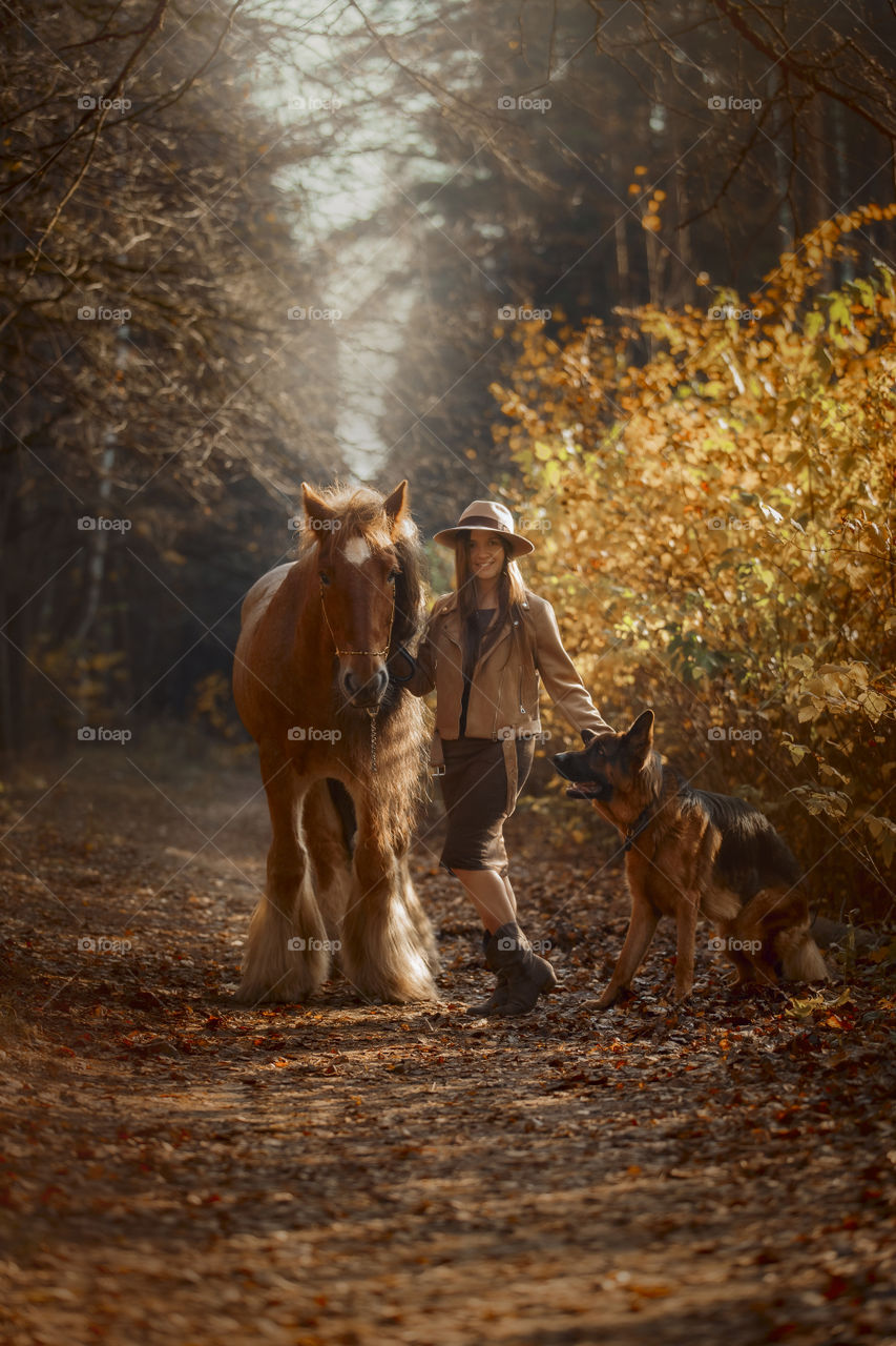 Portrait of young woman  with tinker horse and German shepherd dog 