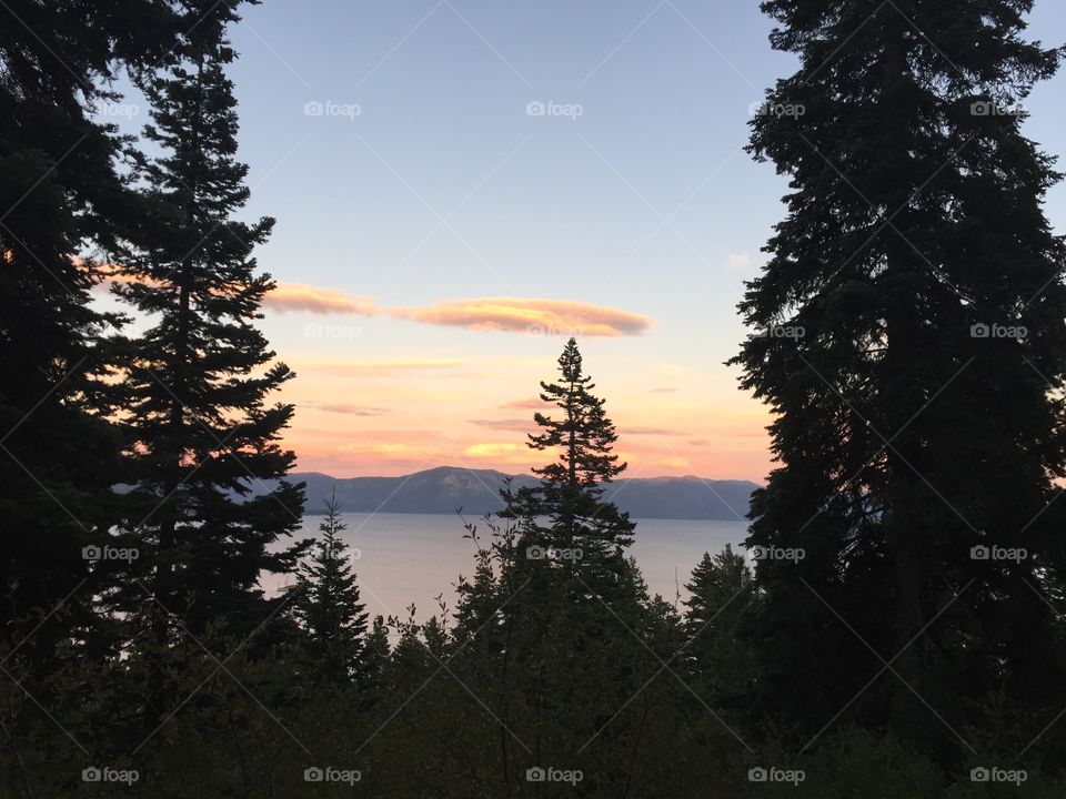 Watching the sunset through the pines in beautiful Lake Tahoe 