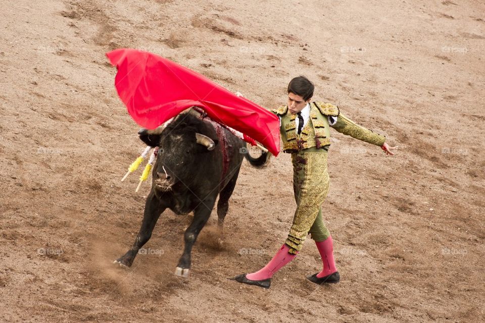bullfighter