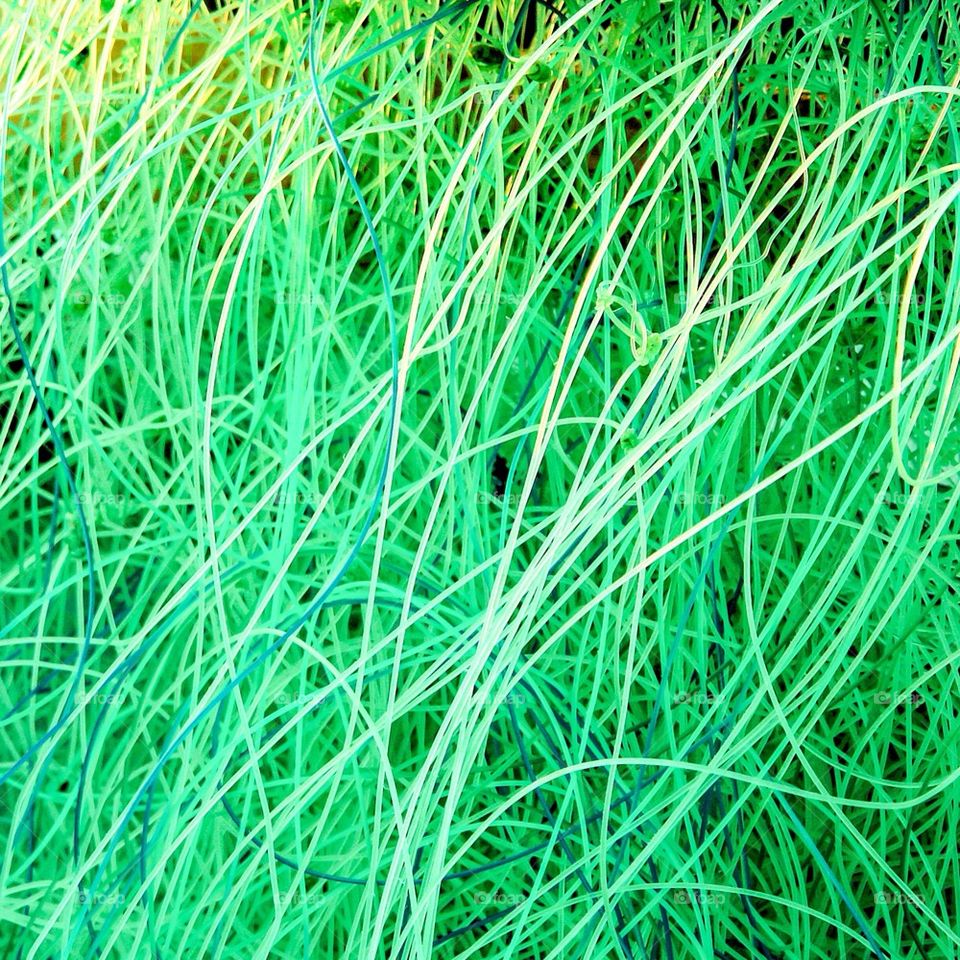 Background and textures