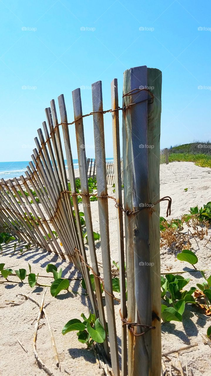 wooden beach fence