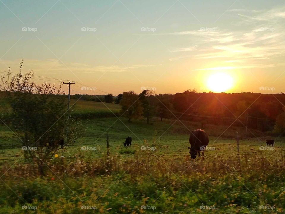 Watching three sunset.