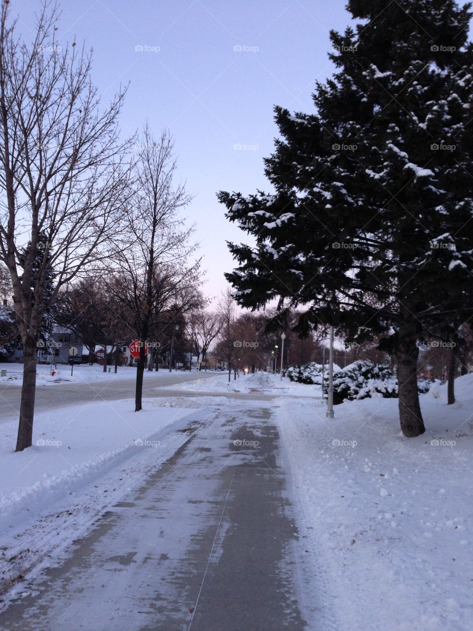 Short walk after snowfall 