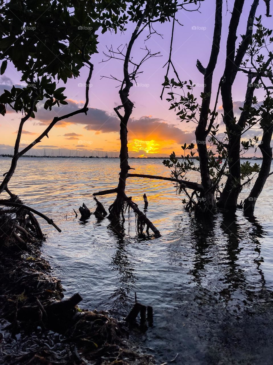 KEY WEST SUNSET