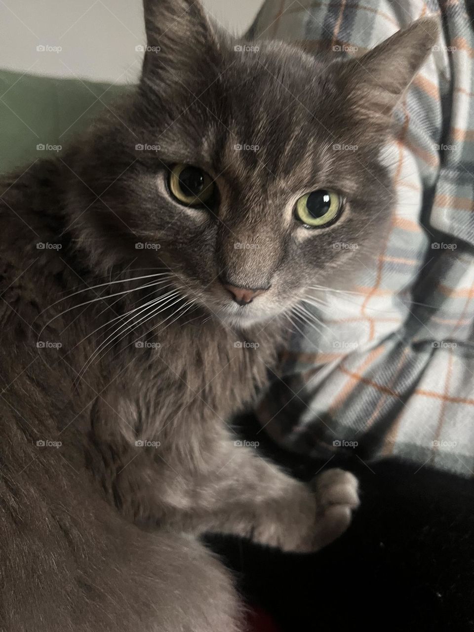 Whazzup! Photo in suddenly, Instagram : Goozmomgg 