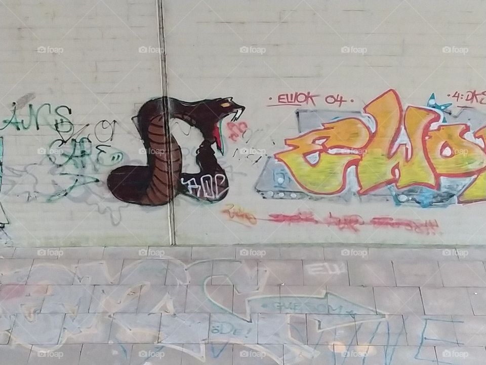 Graffiti snake
