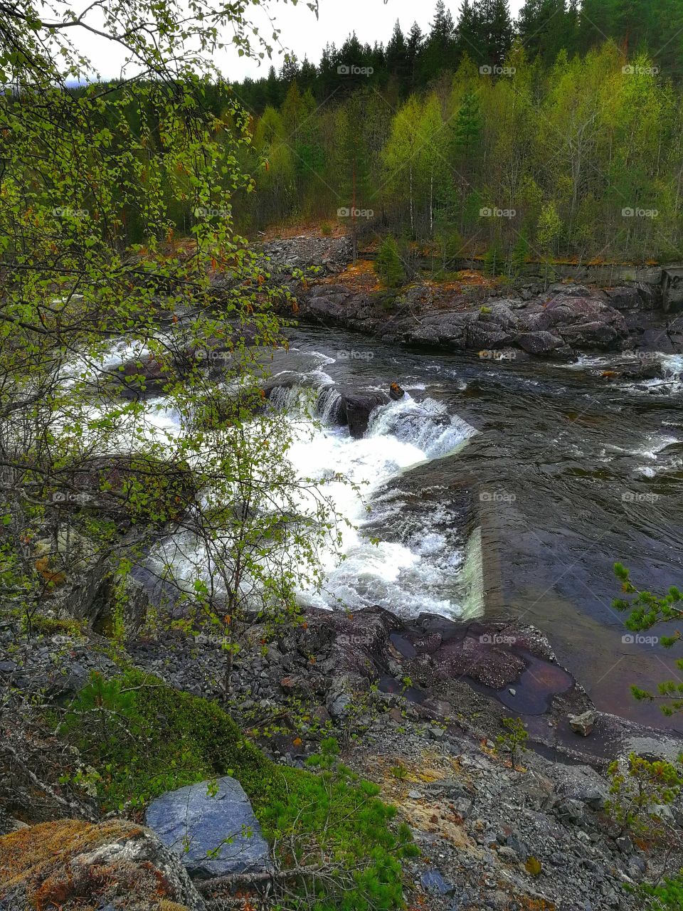 Water, at lot of stream