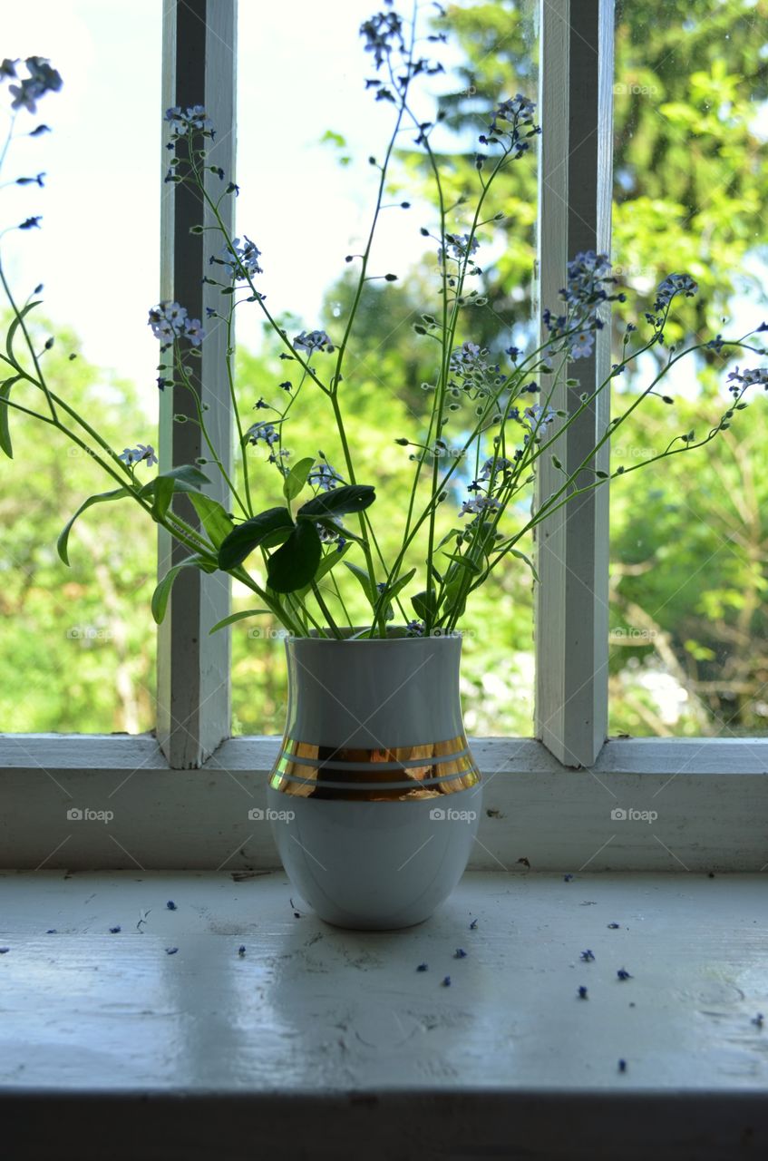 The bouquet on the windowsill