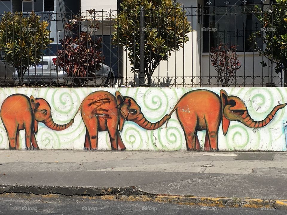 Street art Costa Rica 4