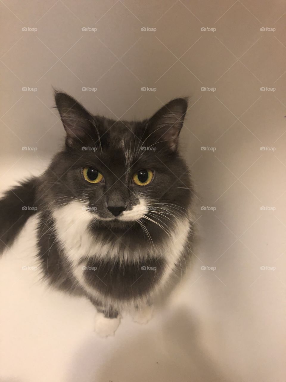 New member of family like bath 