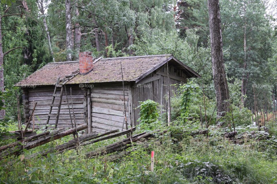 Rustic Finnish Cabin