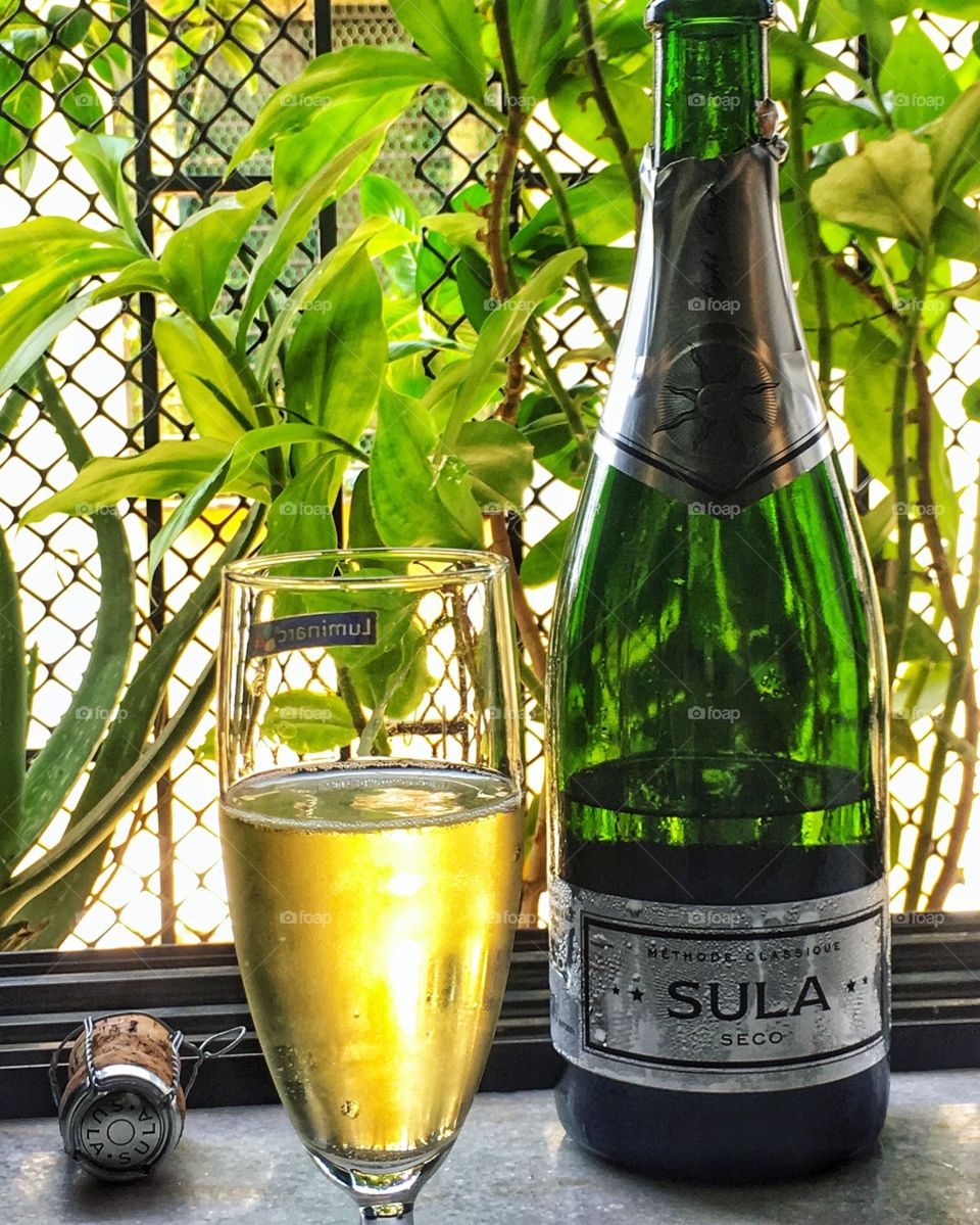 Sula 🍾