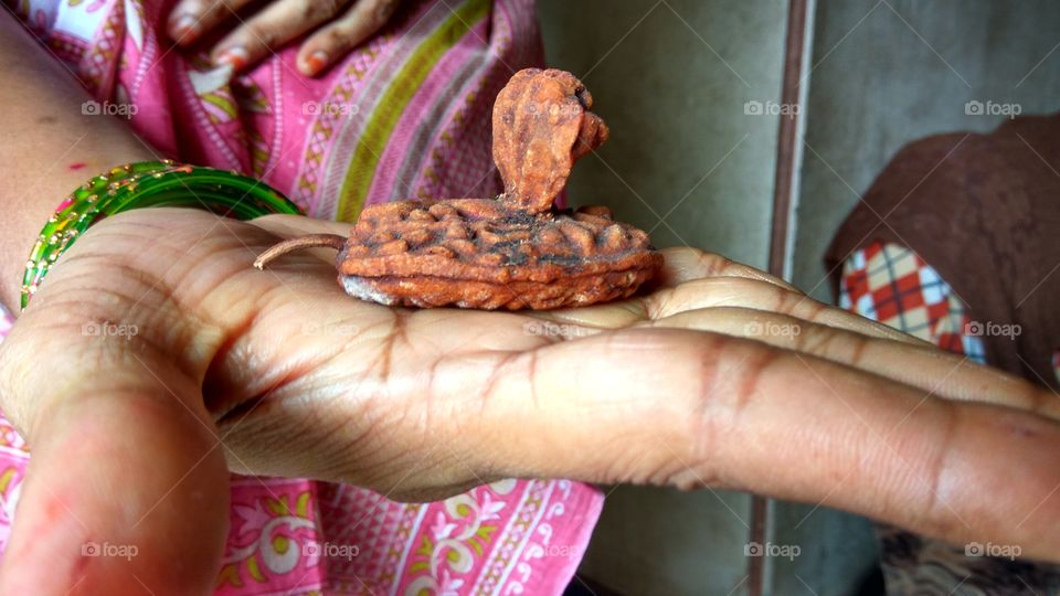 big snake model seed  {Big seed }