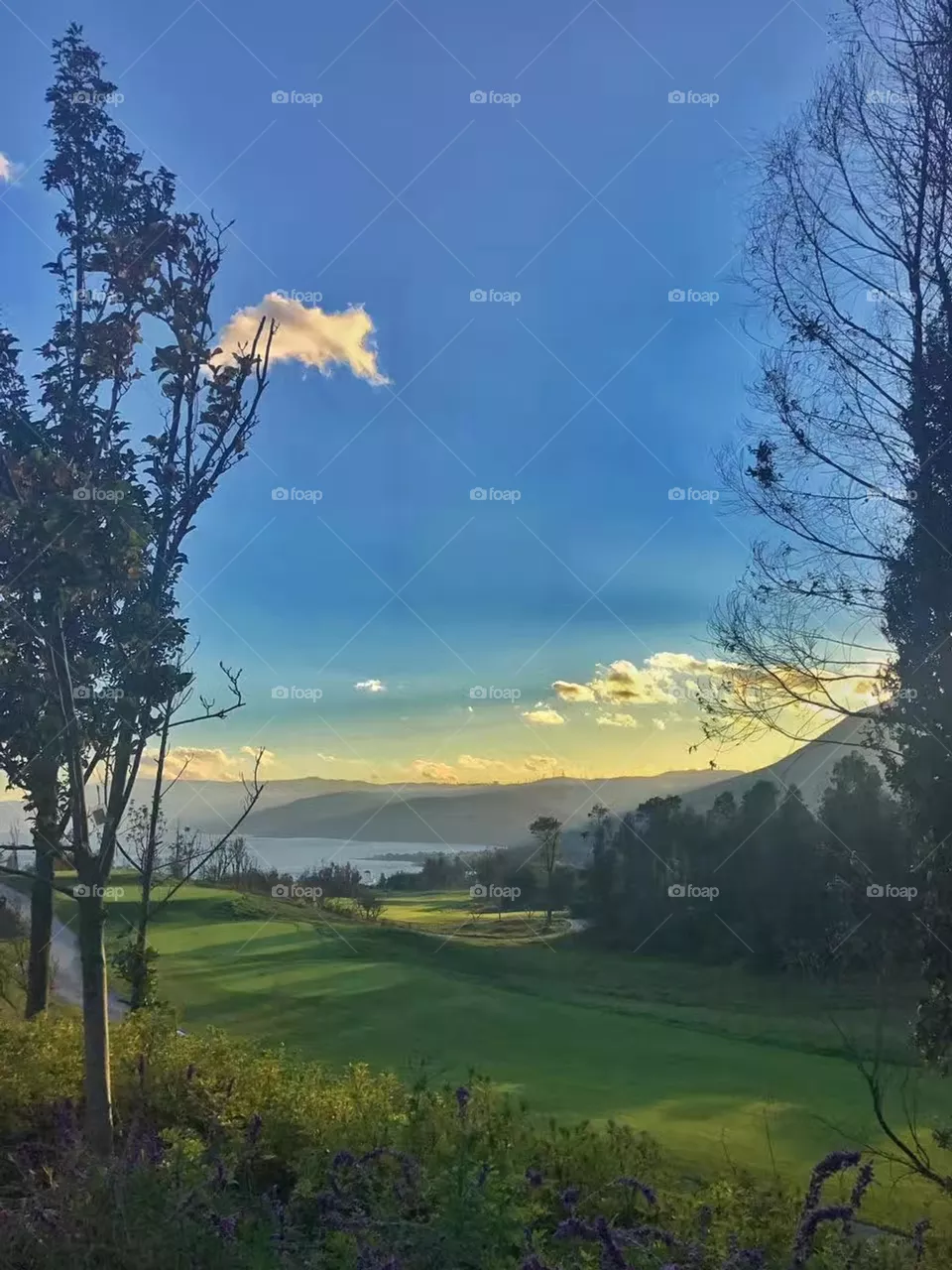 Beautiful Nature