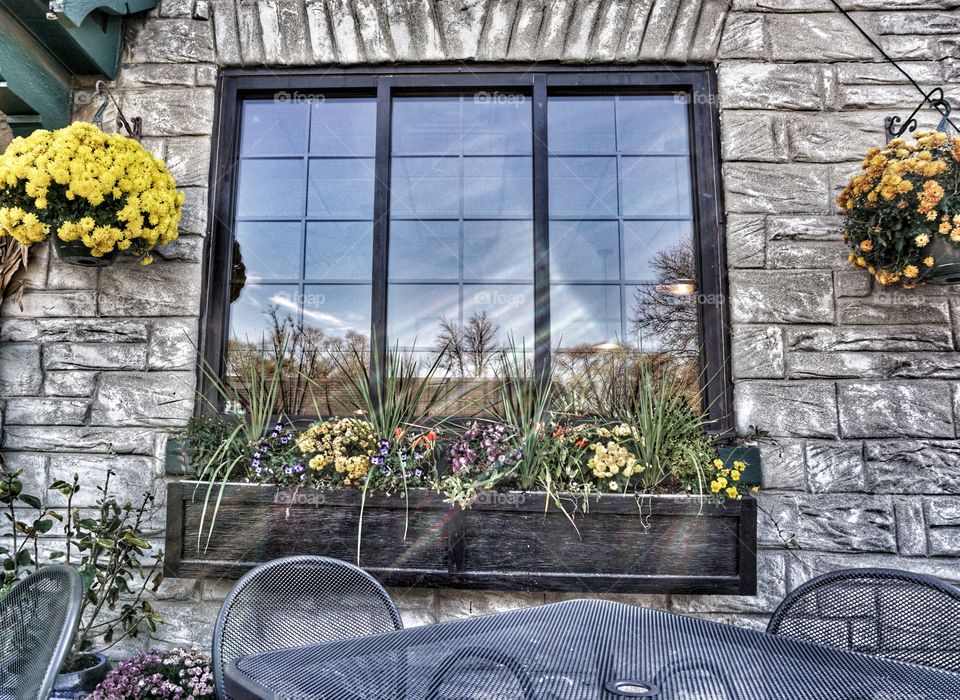 Window With Flower Box