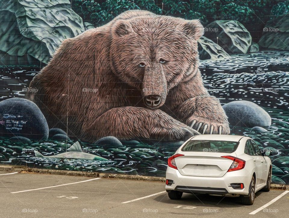 Street art mural of grizzly bear in water 
