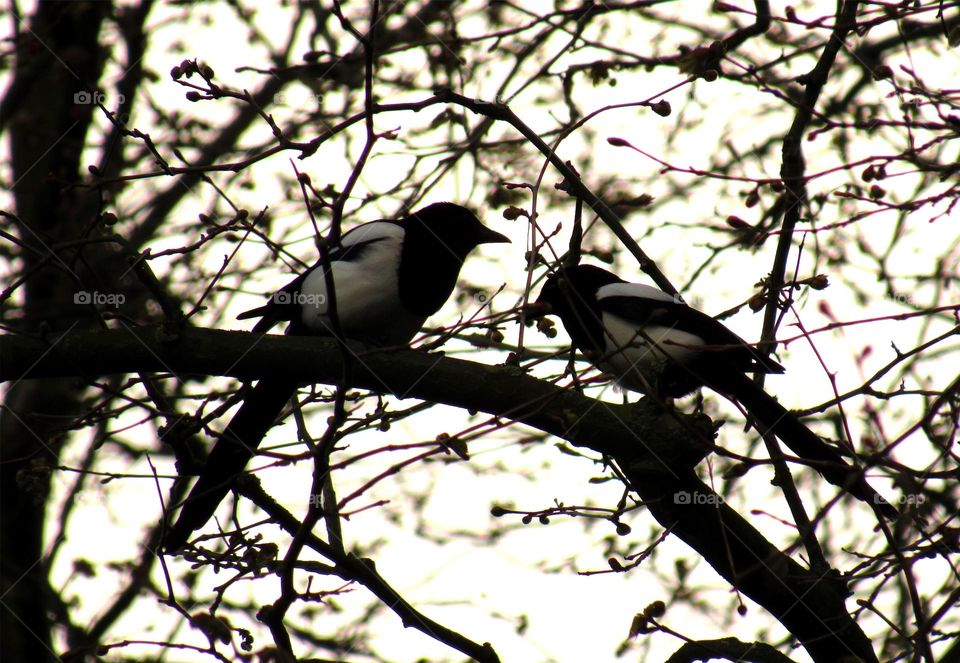 in the park