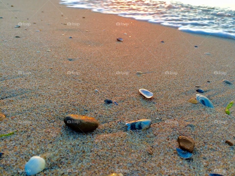 Shells and stones on a beach at sunrise