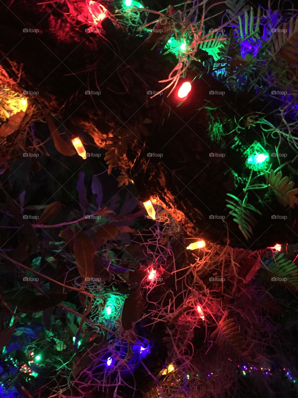 Shot of multicolored Christmas lights to represent the festivities of Christmas and its lovely joy!