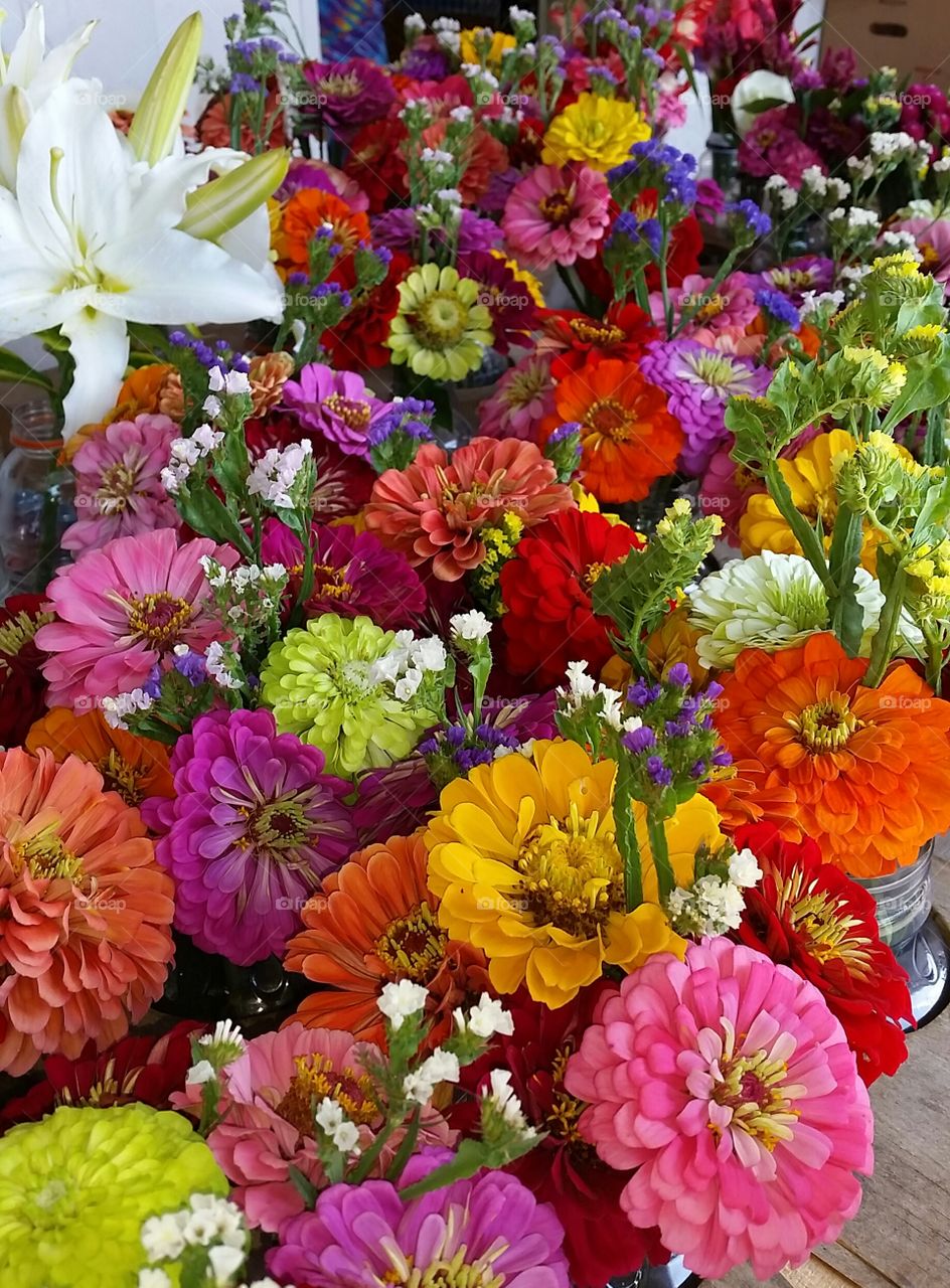 Dahlia Delight. Fresh-cut dahlias with stasis and lily flowers at Roots Farmer's Market in Manheim, PA.