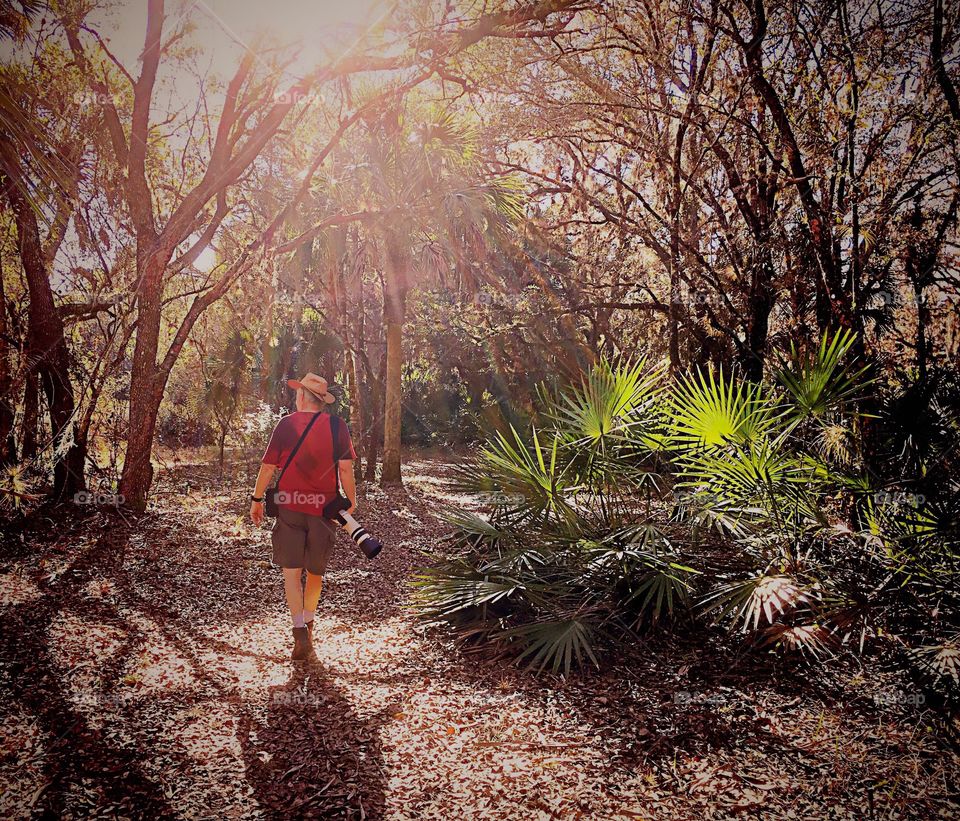 Photographer exploring the beauty of nature in the sunny tropical forest.