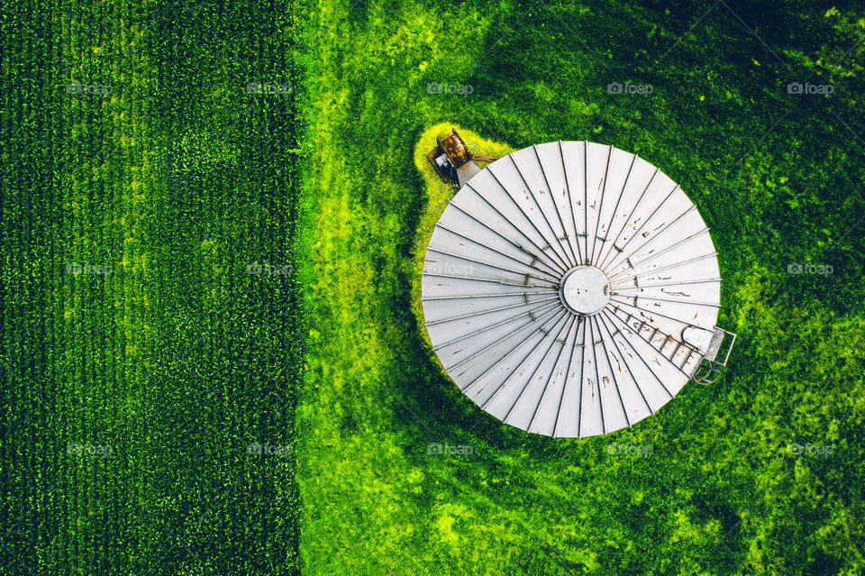 Grass, Desktop, Abstract, Art, No Person