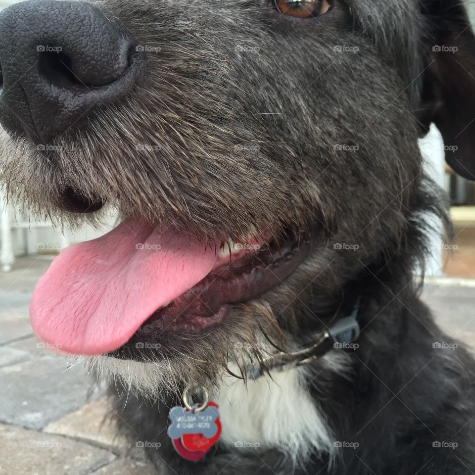 Life is good for Slash