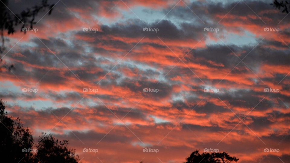 Fiery sunset over field facing Gulf of Mexico