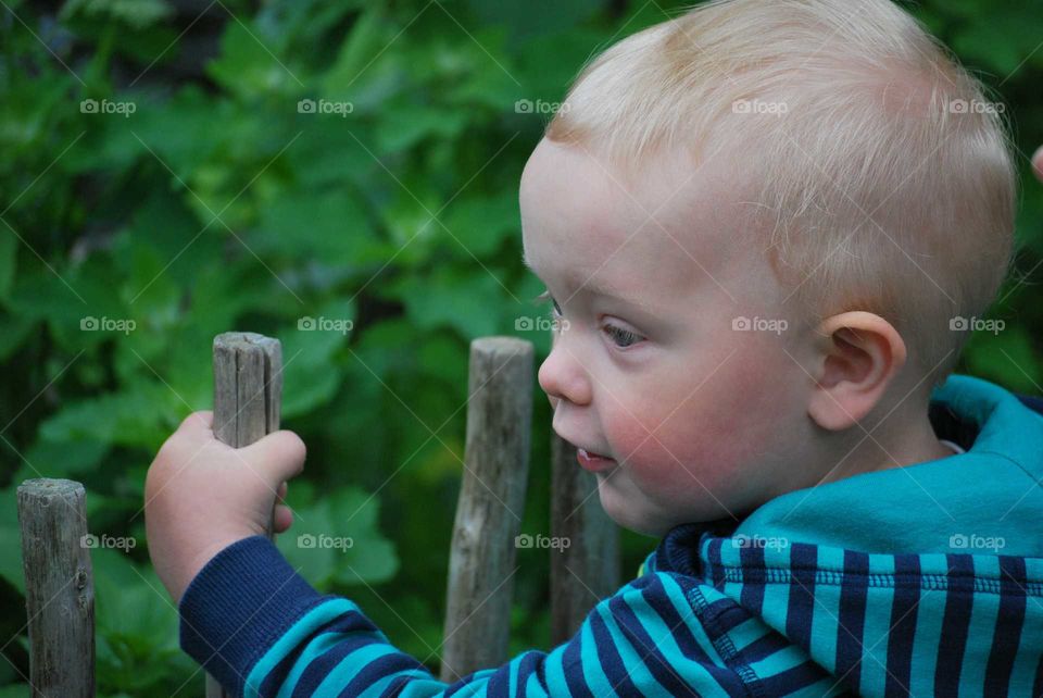 Boy standing by a rural fence