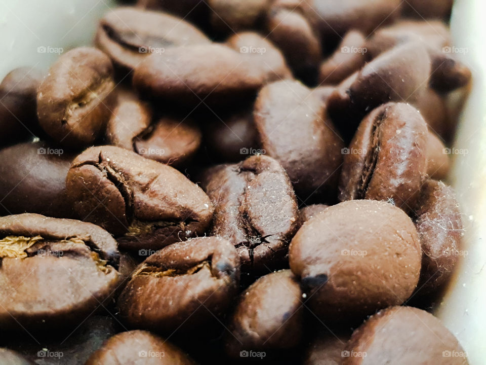 coffee beans in shadow