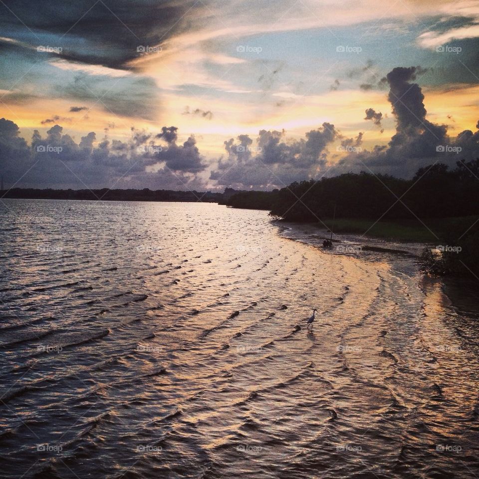 Sunset with a hidden bird