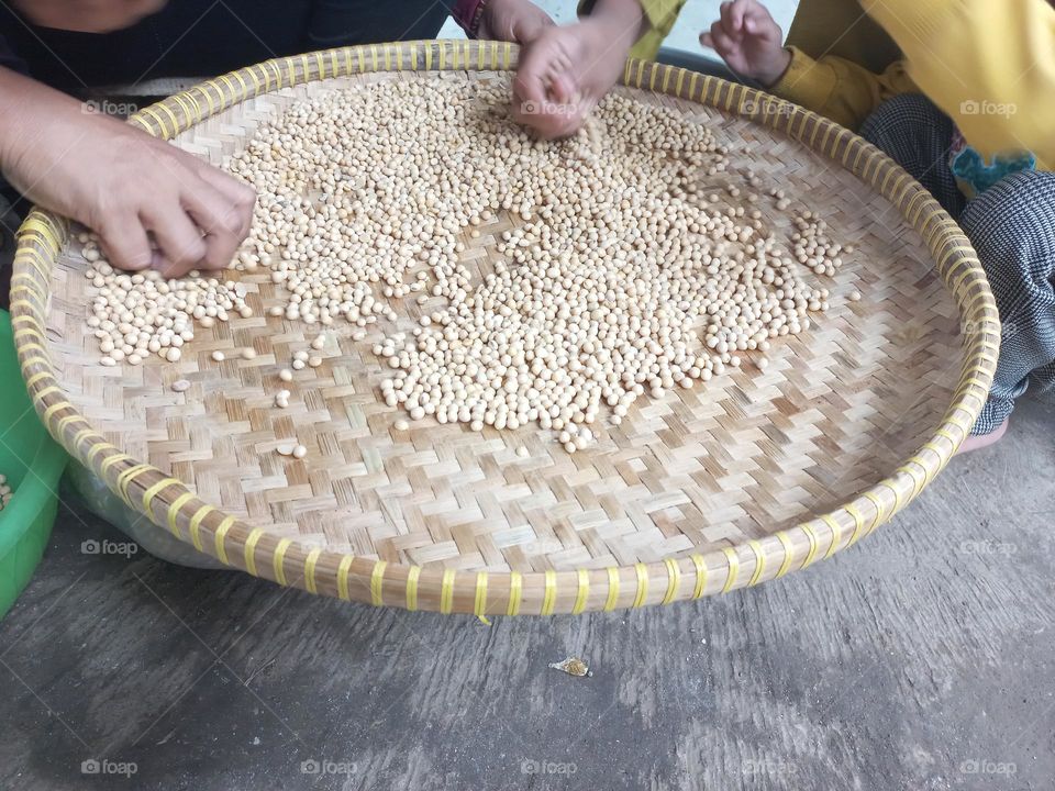 Soybean is a type of legume that is the basic ingredient of many foods from East Asia such as milk, soy sauce, tofu, and tempeh.