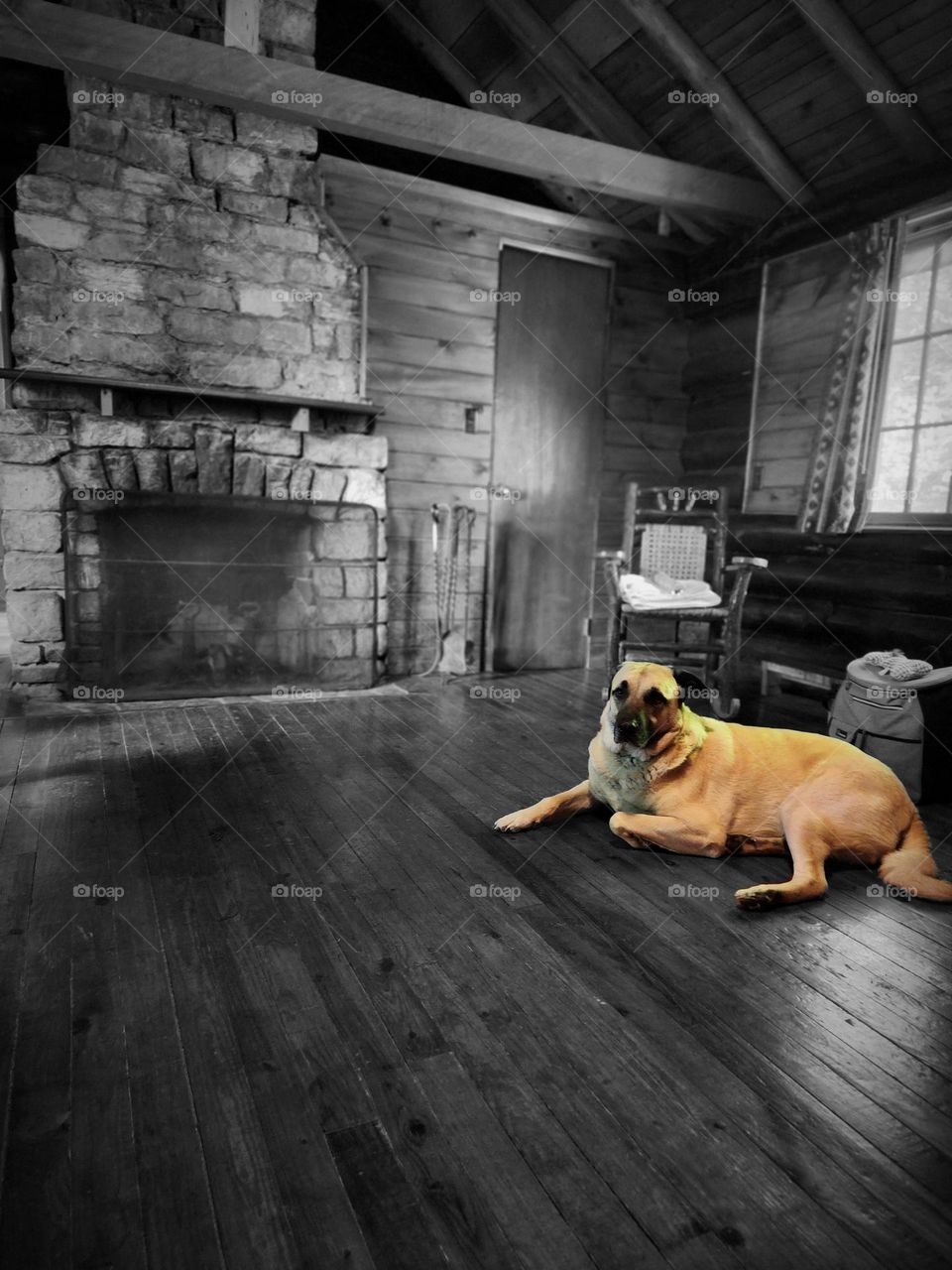 Rustic cabin getaway with my best friend