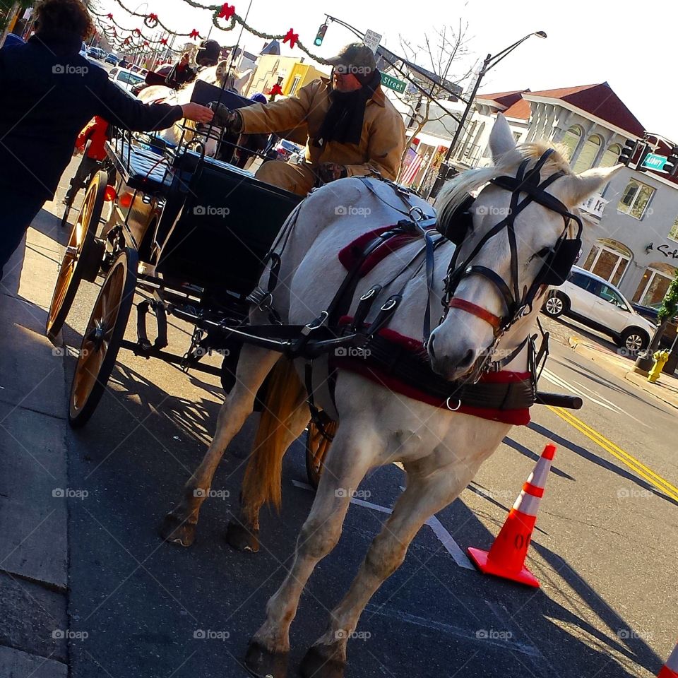 People, Cavalry, Festival, Vehicle, Street
