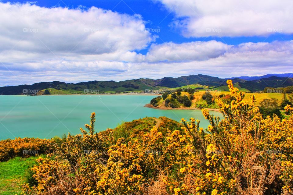 Waitawa Regional Park