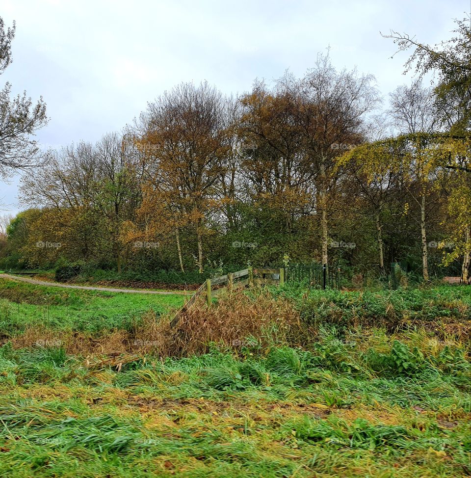 The greenery along the way.