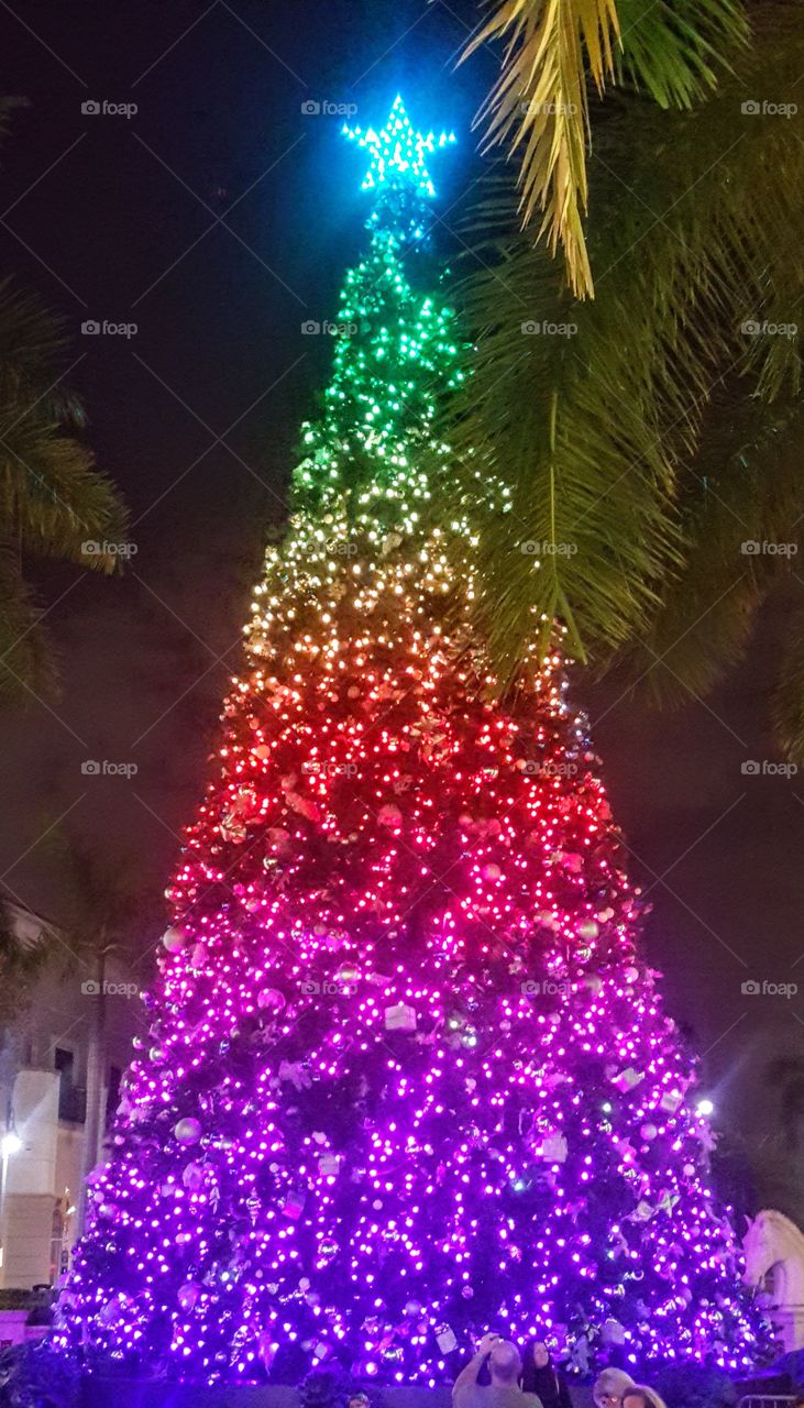 Lighted tree