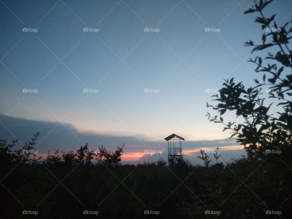 A beautiful view from my farm of my my village!! Rural view!!